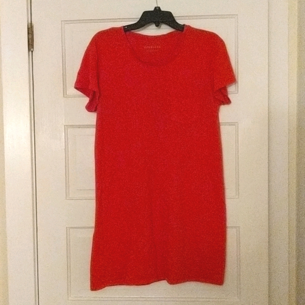 Everlane t-shirt dress